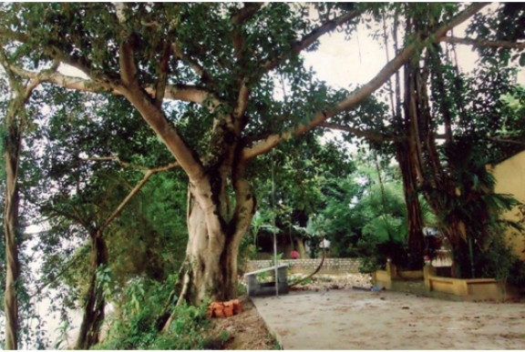 Đan Thượng – Miền ký ức – Di tích tâm linh (Kì 2)