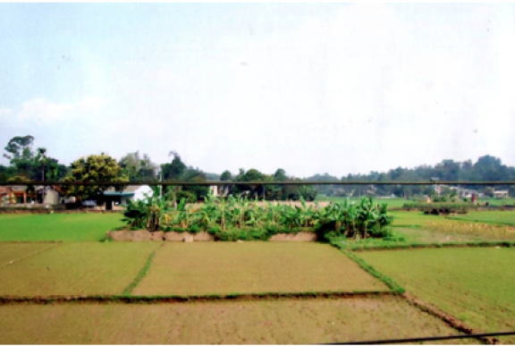 Đan Thượng – Miền ký ức – Di tích tâm linh (Kì 3): Đình Đan Thượng