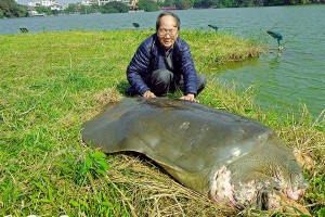 Giáo sư Hà Đình Đức: “Vua Lê đăng quang” xứng tầm lễ hội quốc gia