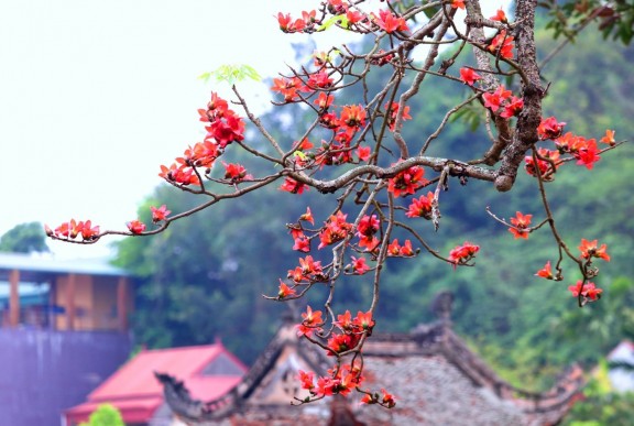 Đan Thượng – Miền ký ức – Di tích tâm linh (Kì 6): CHÙM THƠ